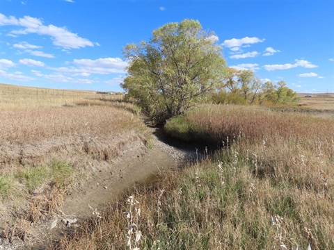 dry-creek-in-autumn.jpg