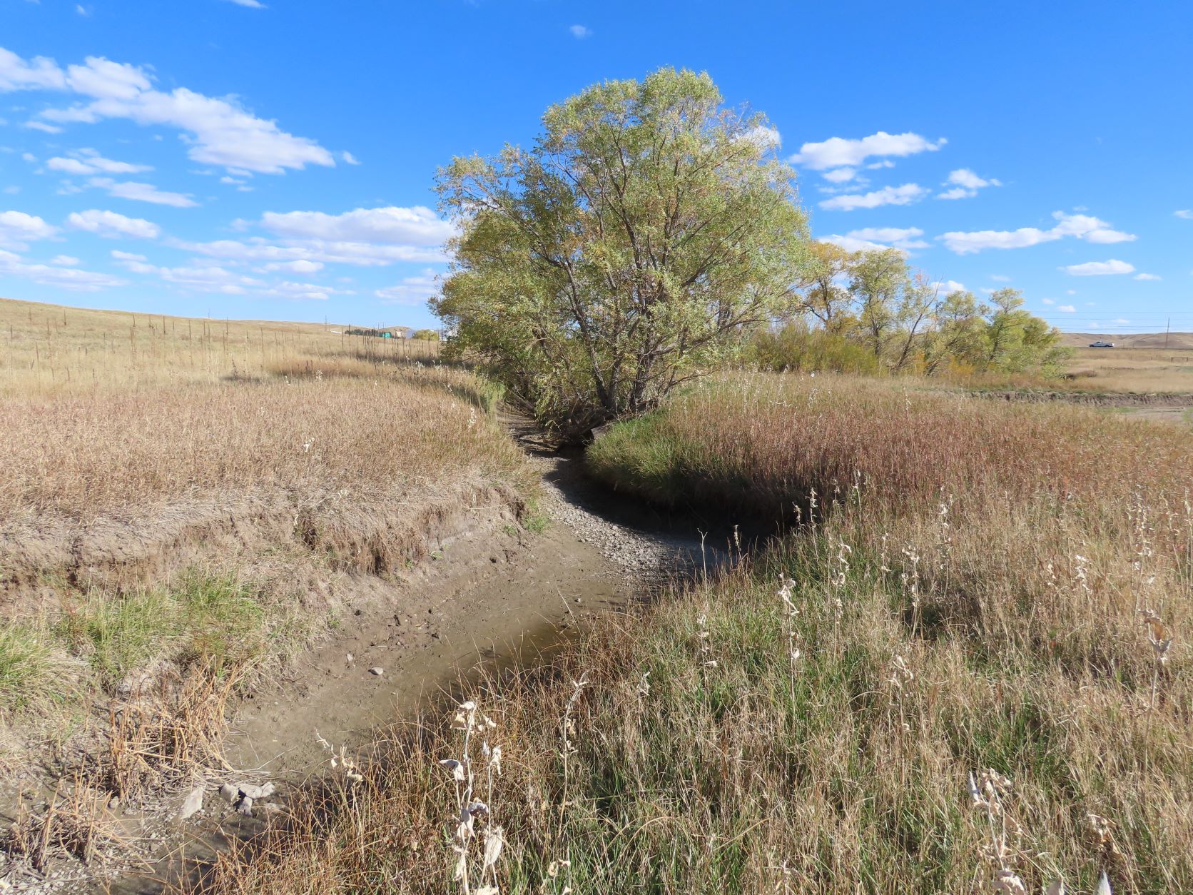 Public Notice For Dry Creek Master Plan City Of Cheyenne   Dry Creek In Autumn 